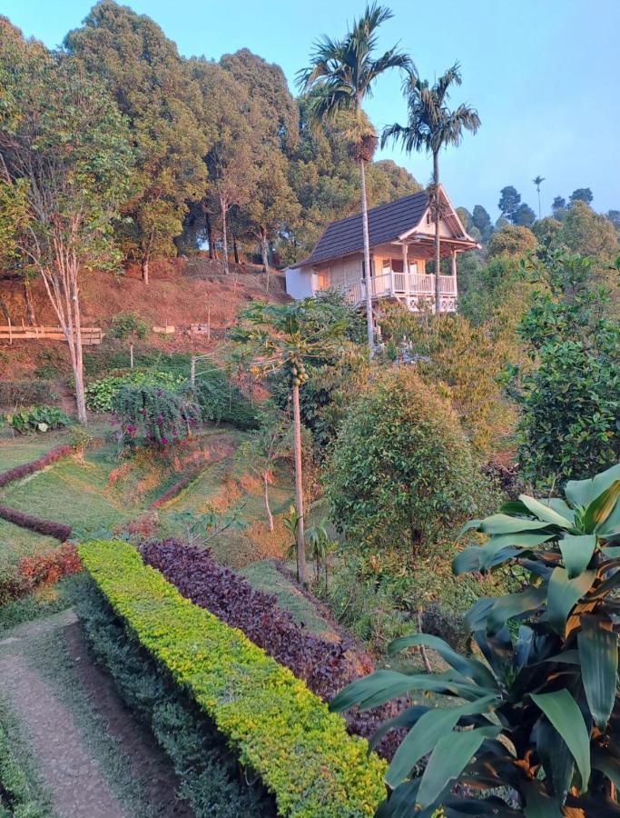 Garden Terrace Bali Bed & Breakfast Gobleg  ภายนอก รูปภาพ