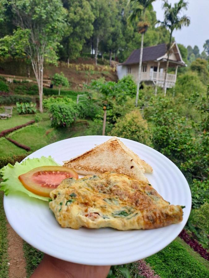 Garden Terrace Bali Bed & Breakfast Gobleg  ภายนอก รูปภาพ