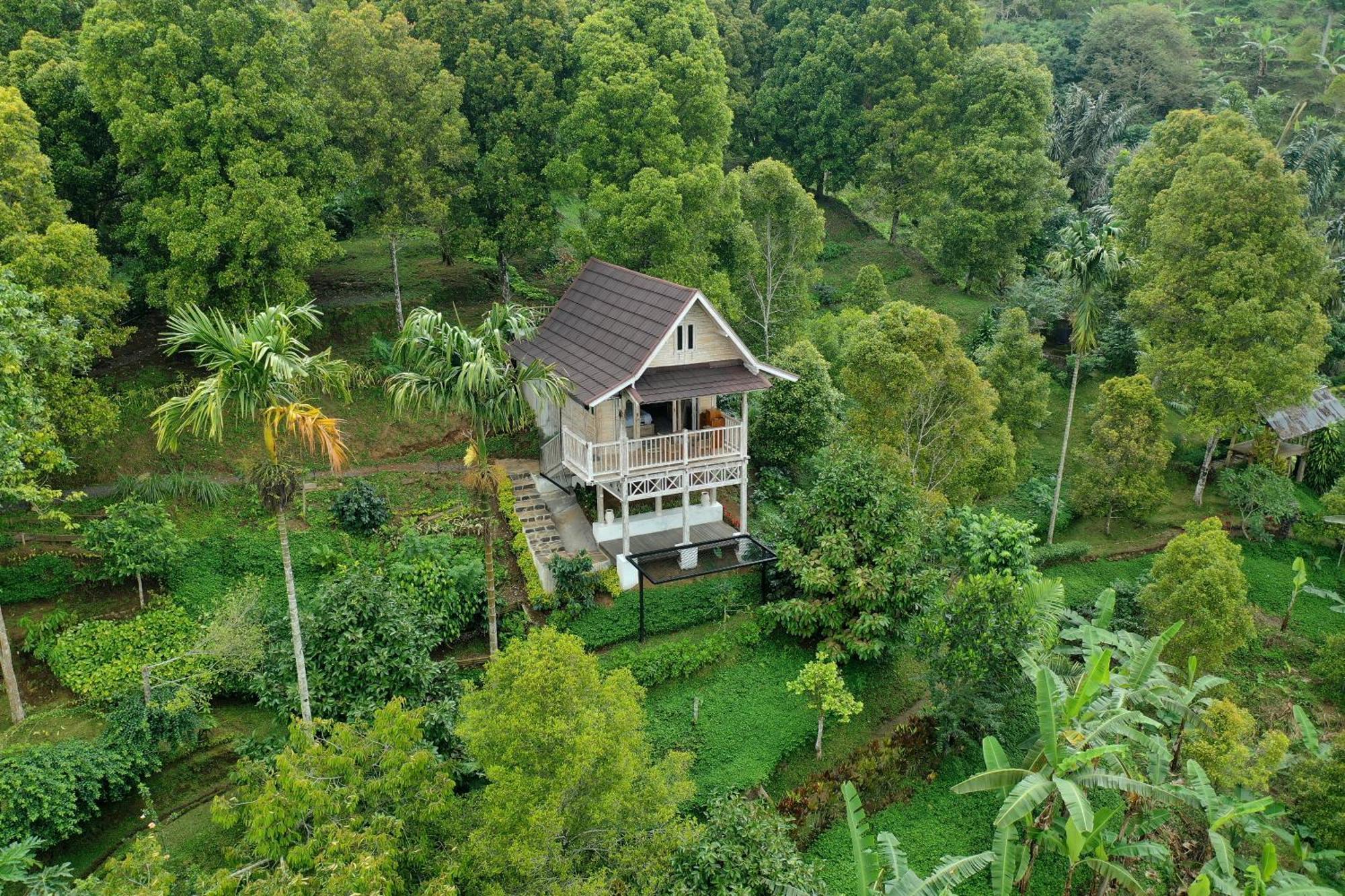 Garden Terrace Bali Bed & Breakfast Gobleg  ภายนอก รูปภาพ