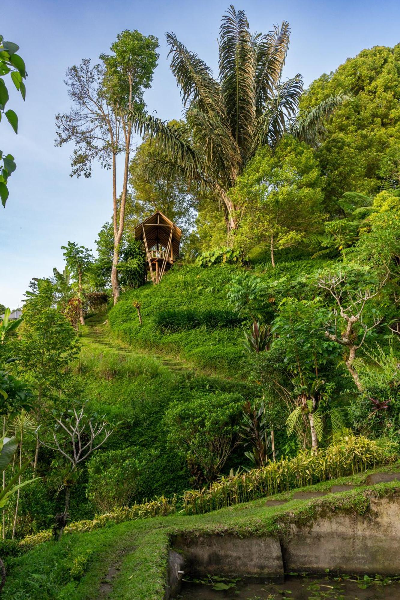 Garden Terrace Bali Bed & Breakfast Gobleg  ภายนอก รูปภาพ