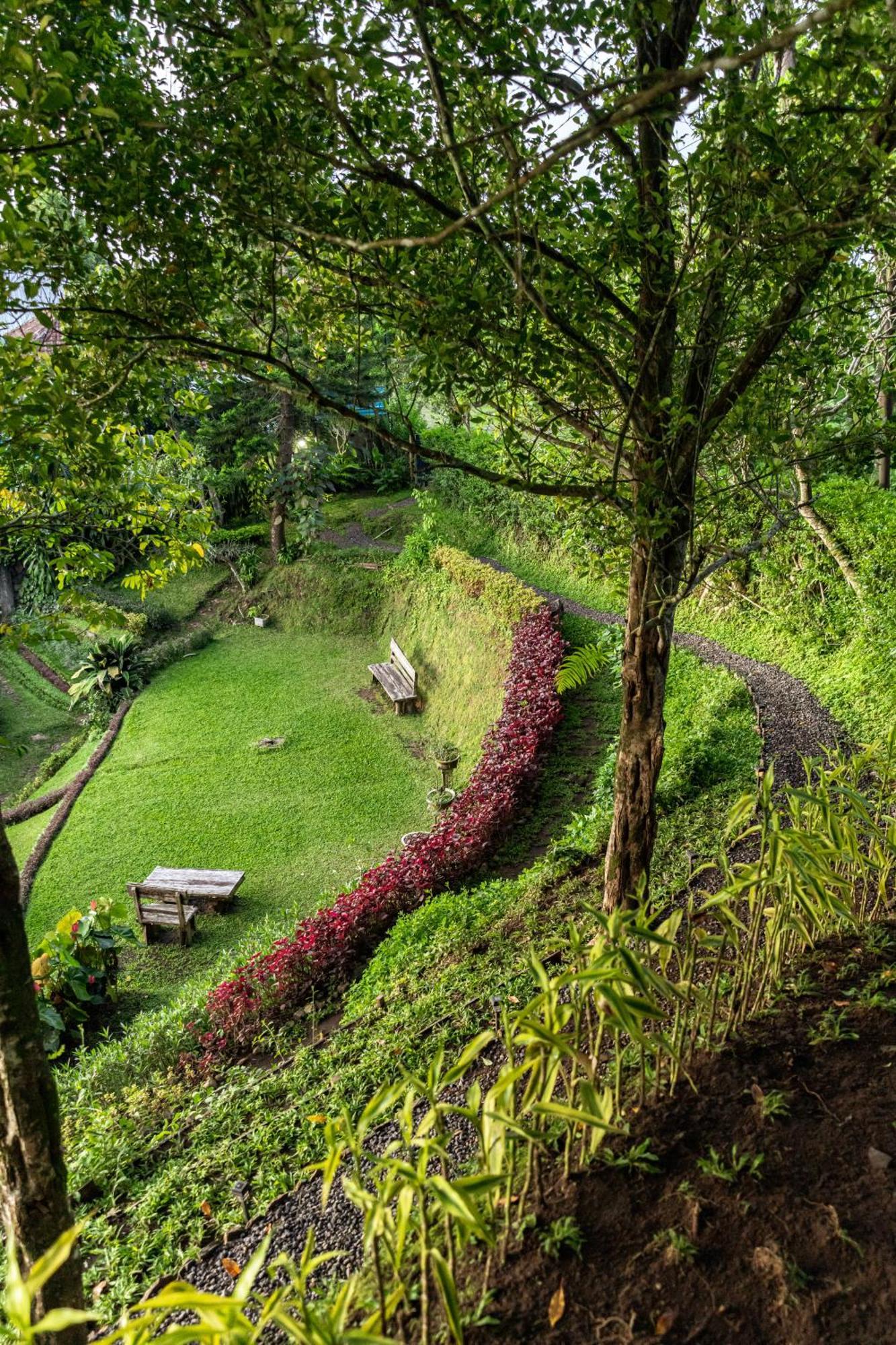 Garden Terrace Bali Bed & Breakfast Gobleg  ภายนอก รูปภาพ