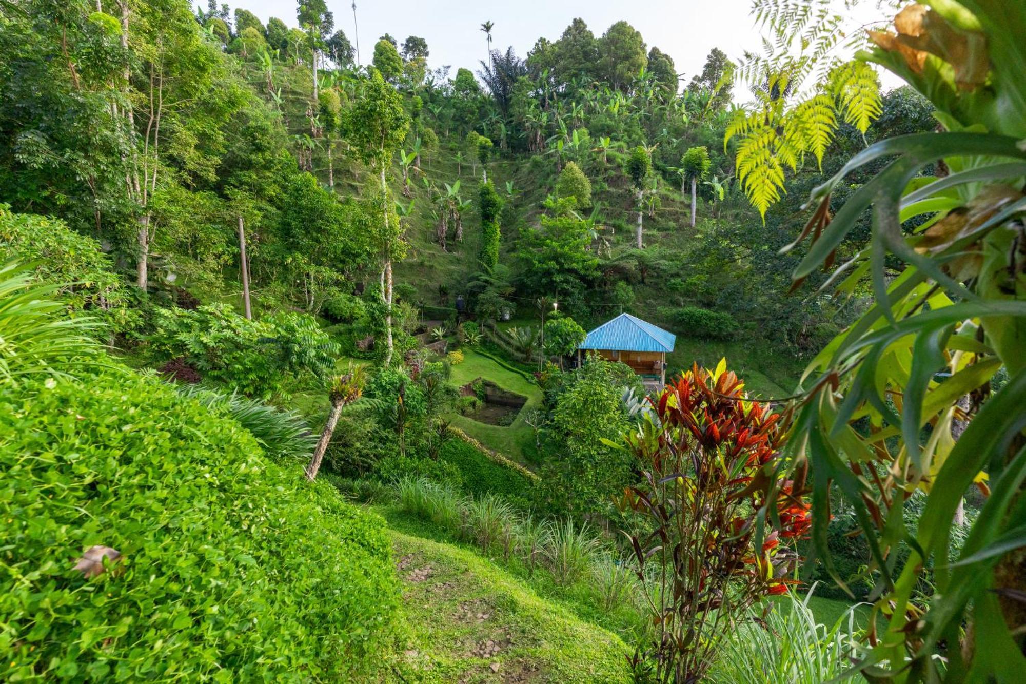 Garden Terrace Bali Bed & Breakfast Gobleg  ภายนอก รูปภาพ