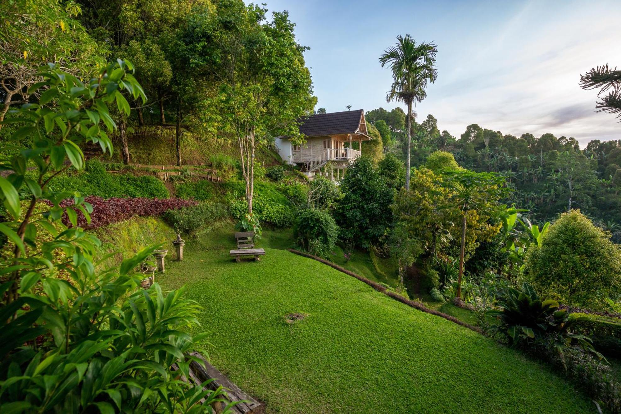 Garden Terrace Bali Bed & Breakfast Gobleg  ภายนอก รูปภาพ