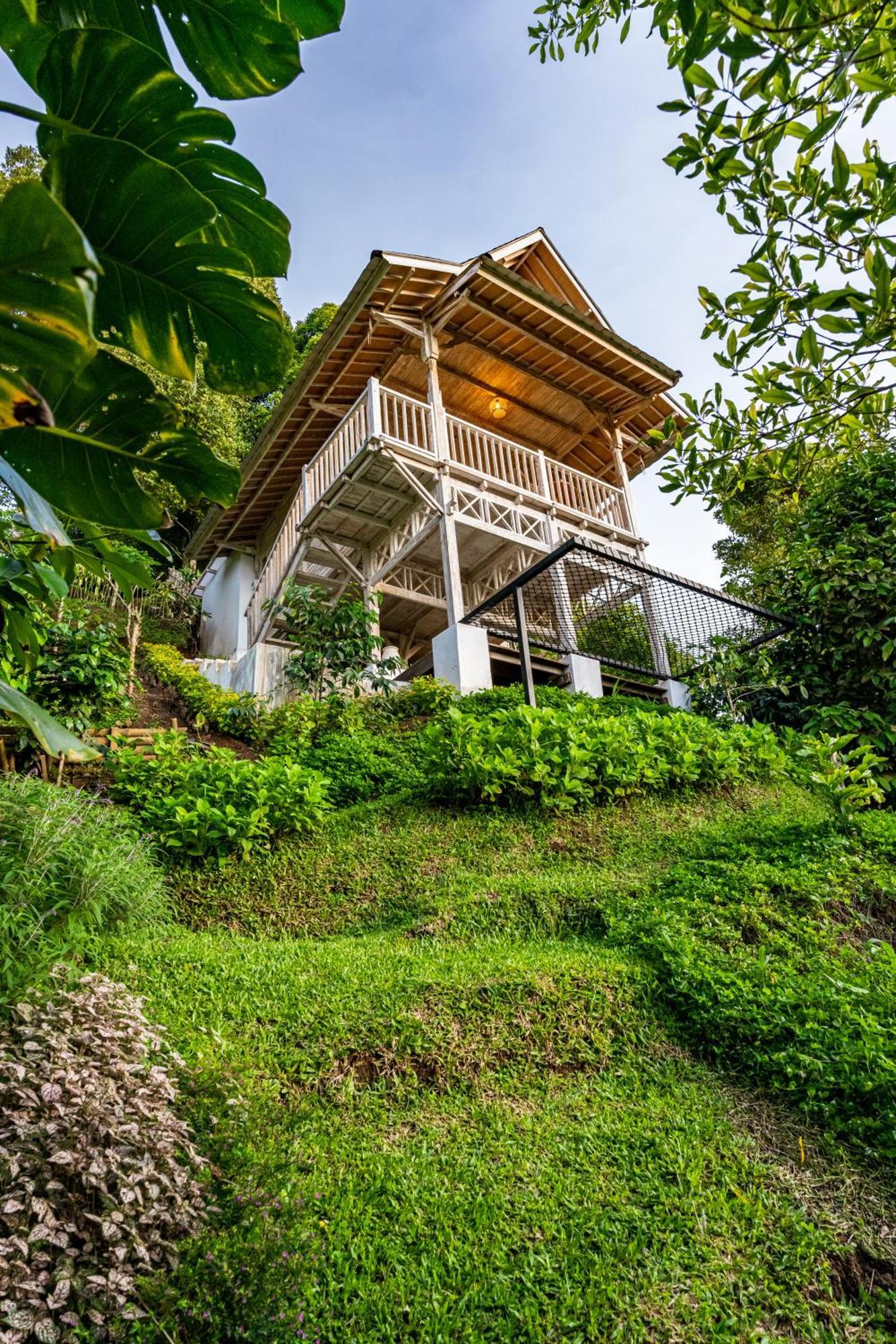 Garden Terrace Bali Bed & Breakfast Gobleg  ภายนอก รูปภาพ