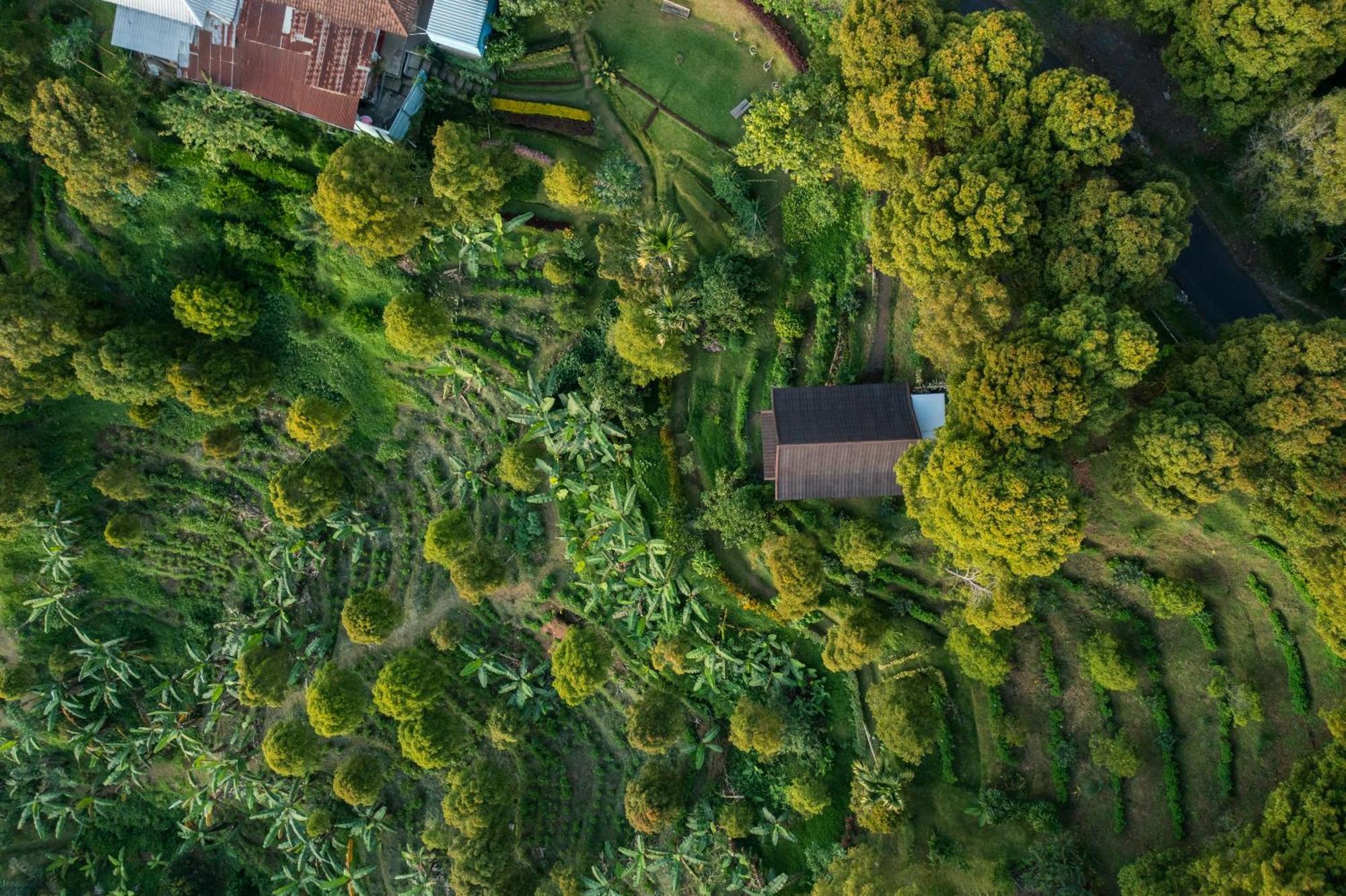 Garden Terrace Bali Bed & Breakfast Gobleg  ภายนอก รูปภาพ