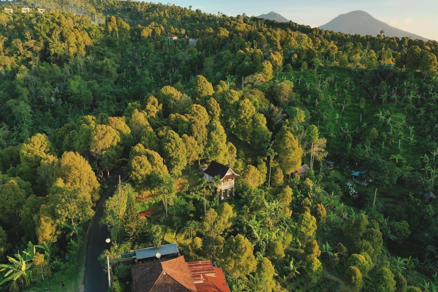 Garden Terrace Bali Bed & Breakfast Gobleg  ภายนอก รูปภาพ