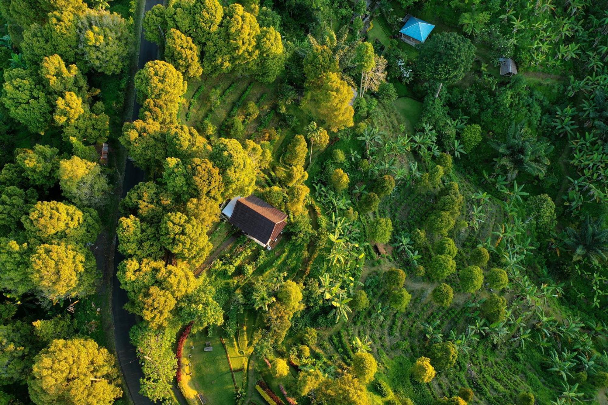 Garden Terrace Bali Bed & Breakfast Gobleg  ภายนอก รูปภาพ